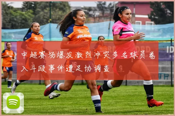 中超赛场爆发激烈冲突多名球员卷入斗殴事件遭足协调查